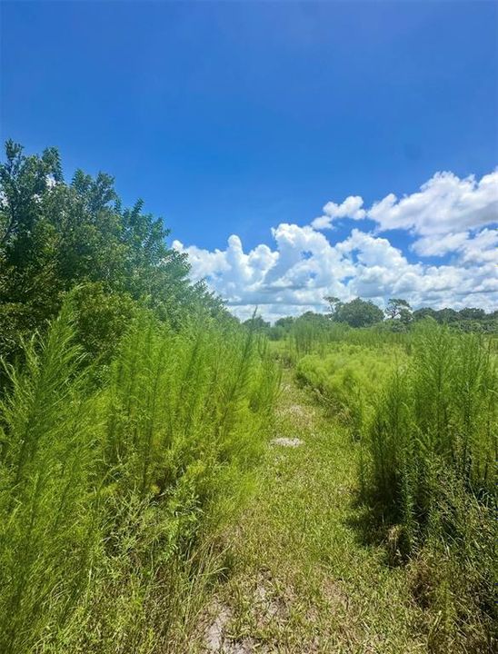 待售: $170,000 (2.48 acres)