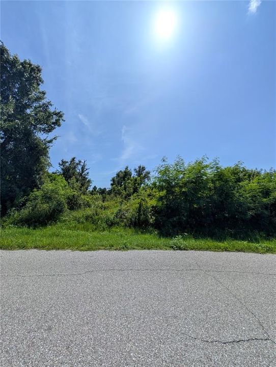 Active With Contract: $49,900 (0.50 acres)