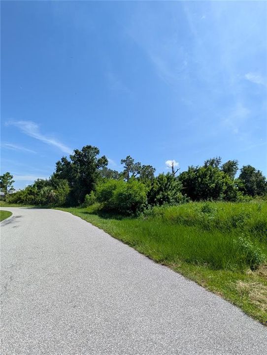 Active With Contract: $49,900 (0.50 acres)