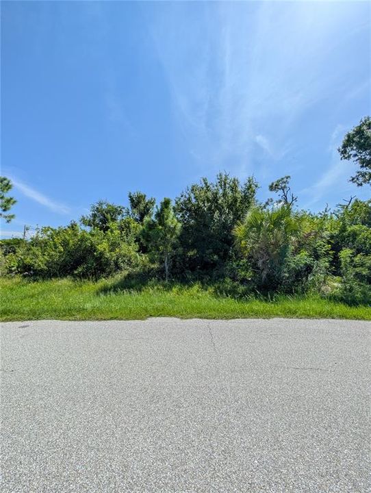 Active With Contract: $49,900 (0.50 acres)