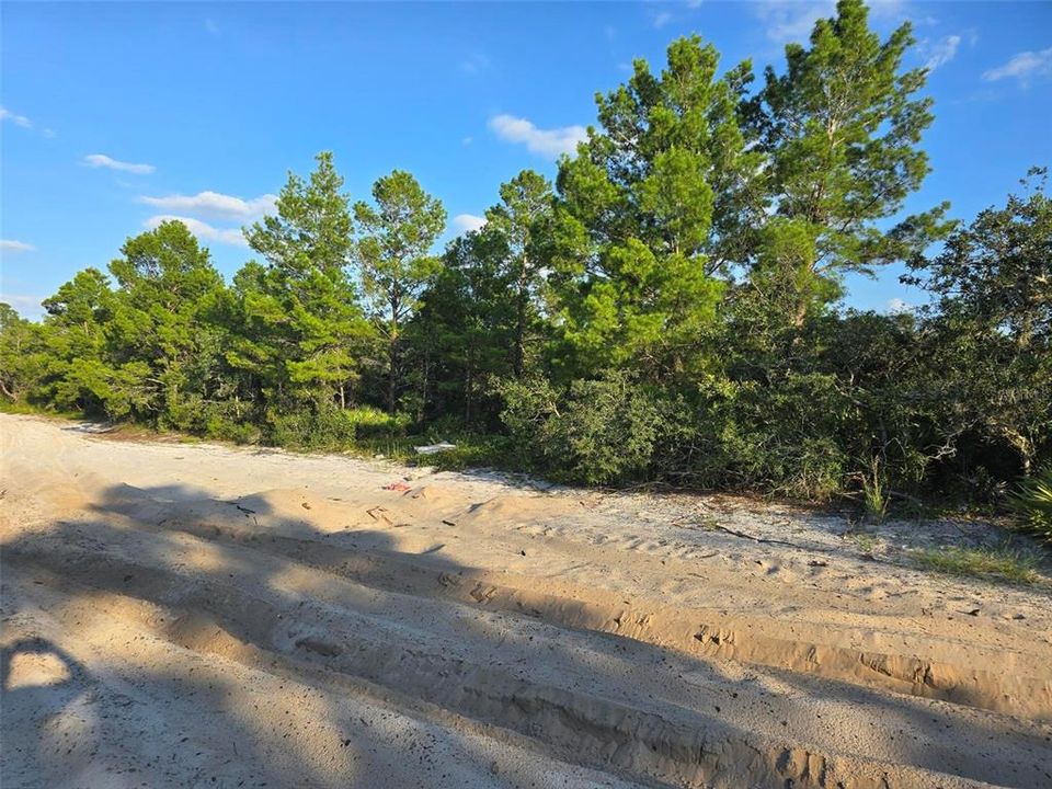 For Sale: $160,000 (1.25 acres)