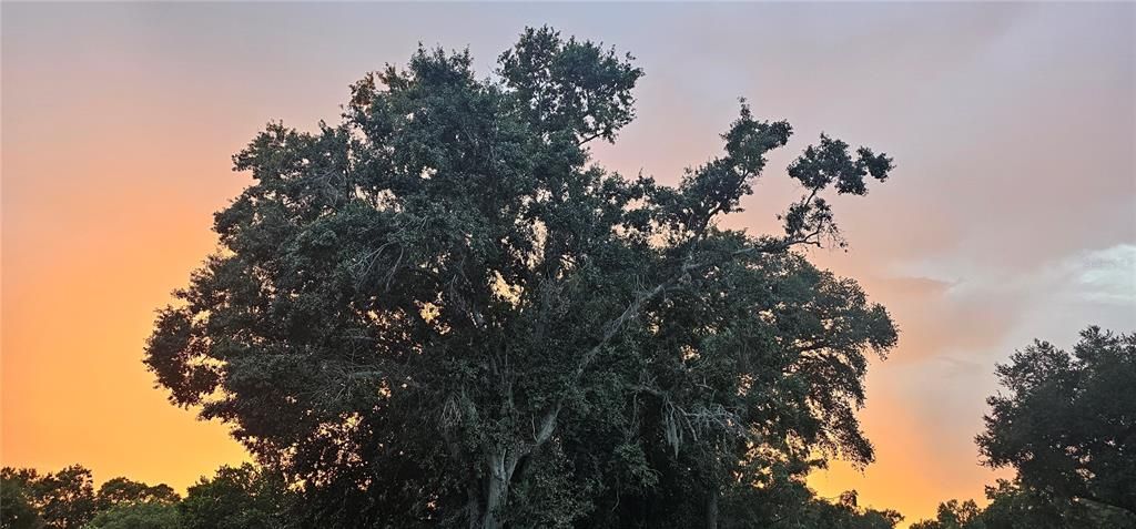 合同活跃: $220,000 (3 贝兹, 2 浴室, 1040 平方英尺)