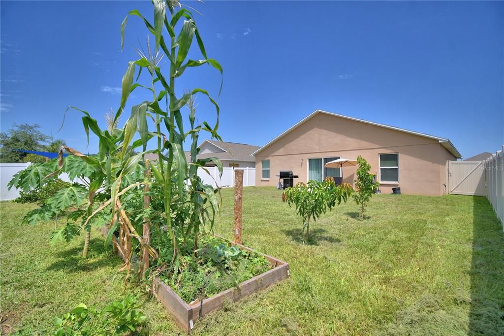 Activo con contrato: $325,990 (3 camas, 2 baños, 1619 Pies cuadrados)