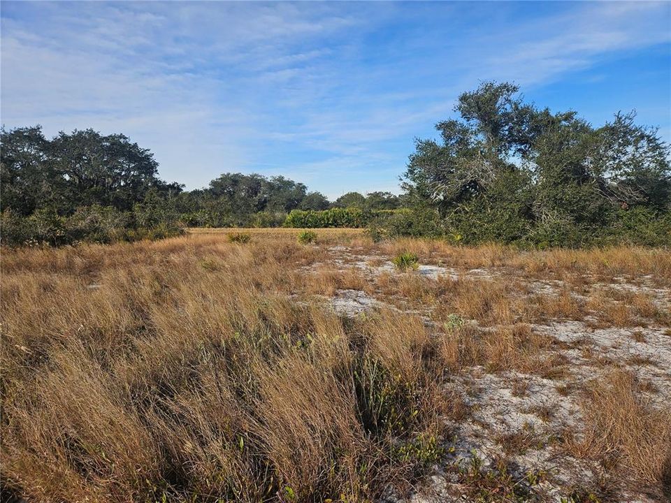 For Sale: $70,000 (1.32 acres)