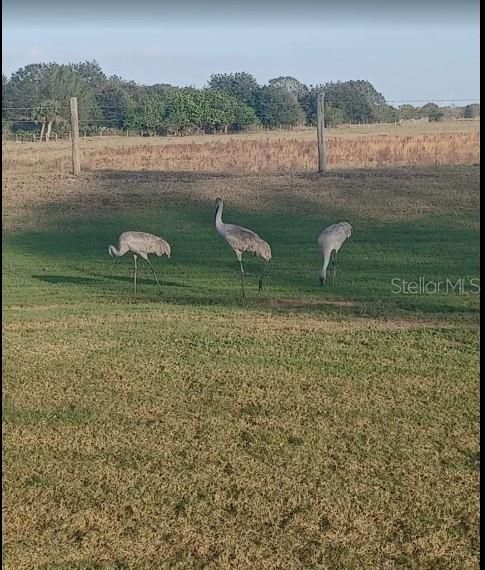 For Sale: $70,000 (1.32 acres)