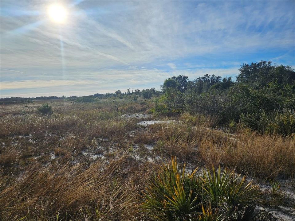 For Sale: $70,000 (1.32 acres)