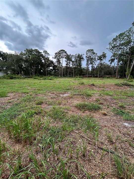 待售: $90,000 (1.97 acres)