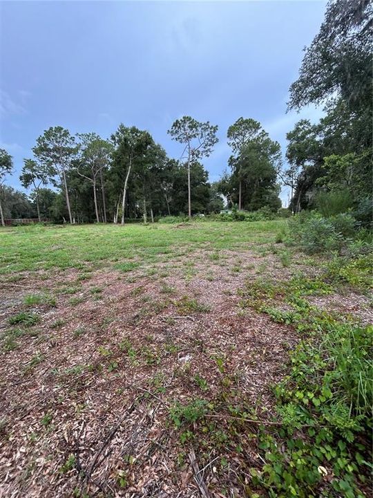 待售: $90,000 (1.97 acres)