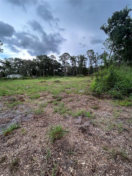 待售: $90,000 (1.97 acres)