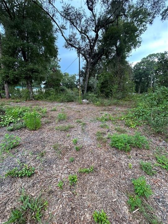 待售: $90,000 (1.97 acres)