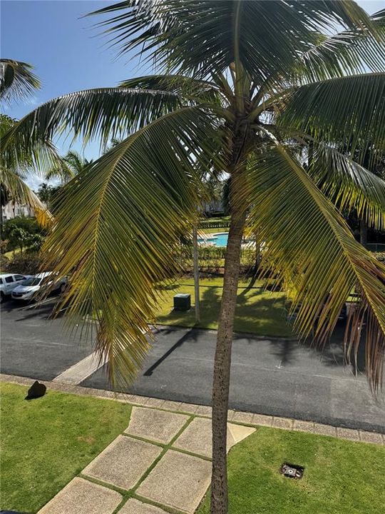 For Rent: $4,500 (4 beds, 4 baths, 0 Square Feet)