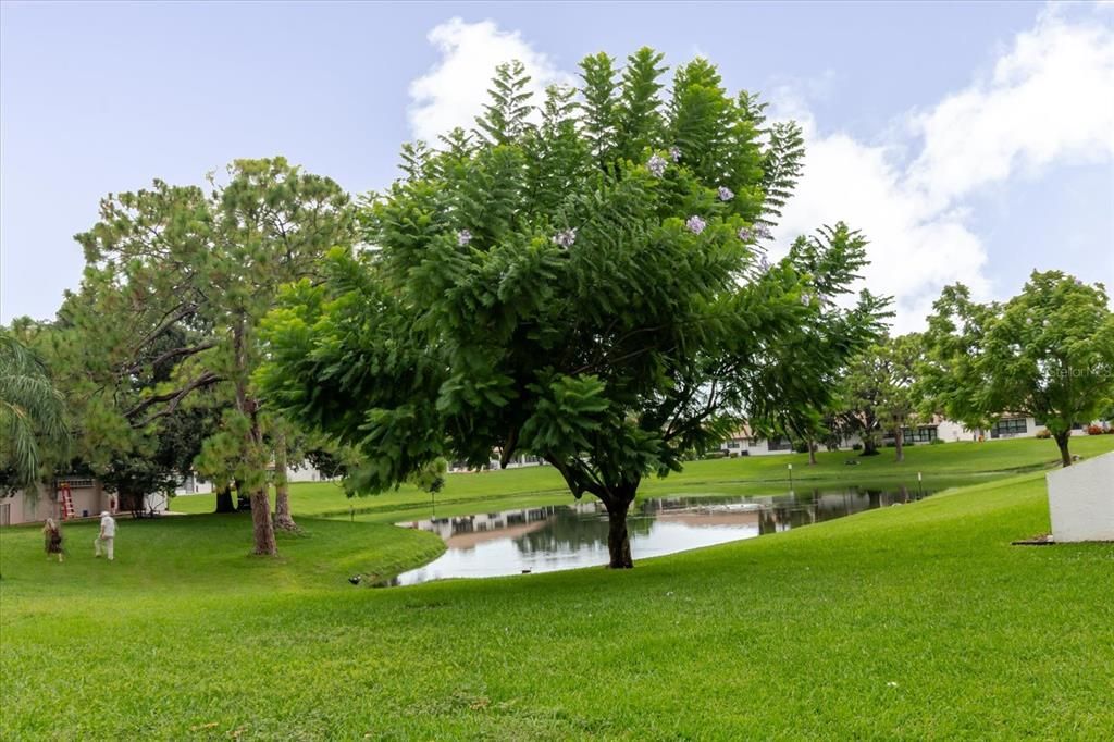 En Venta: $157,500 (2 camas, 2 baños, 1174 Pies cuadrados)