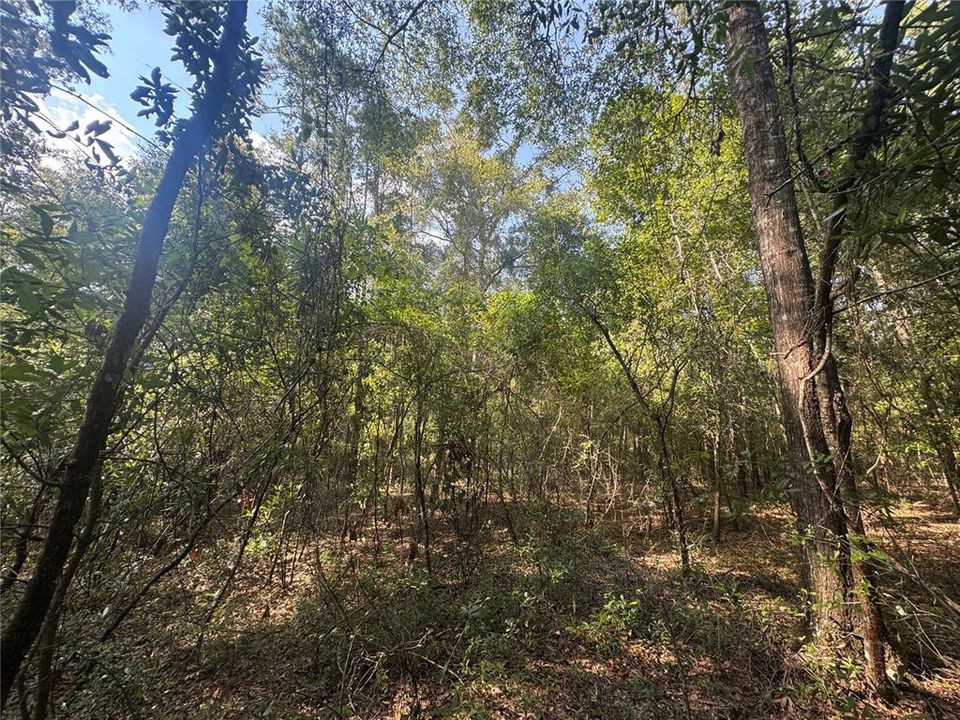 待售: $40,000 (0.92 acres)