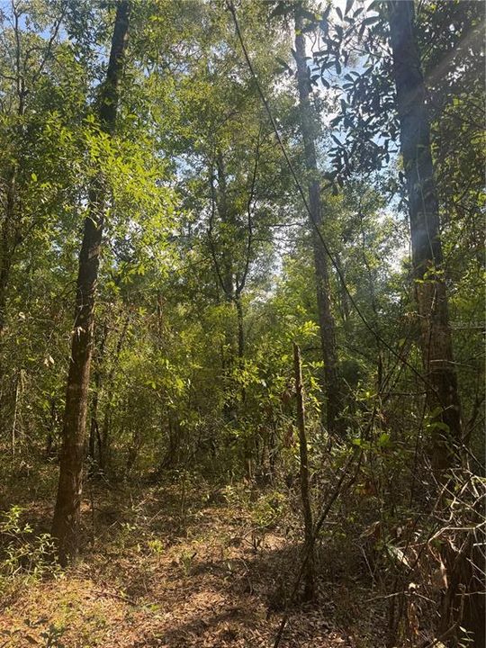 待售: $40,000 (0.92 acres)