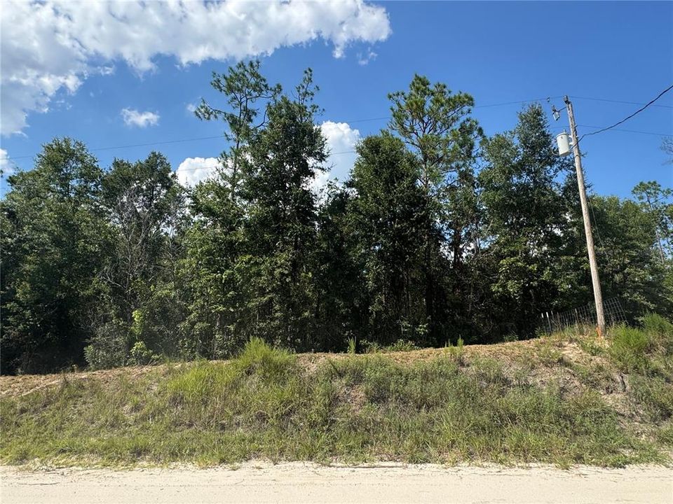 待售: $40,000 (0.92 acres)