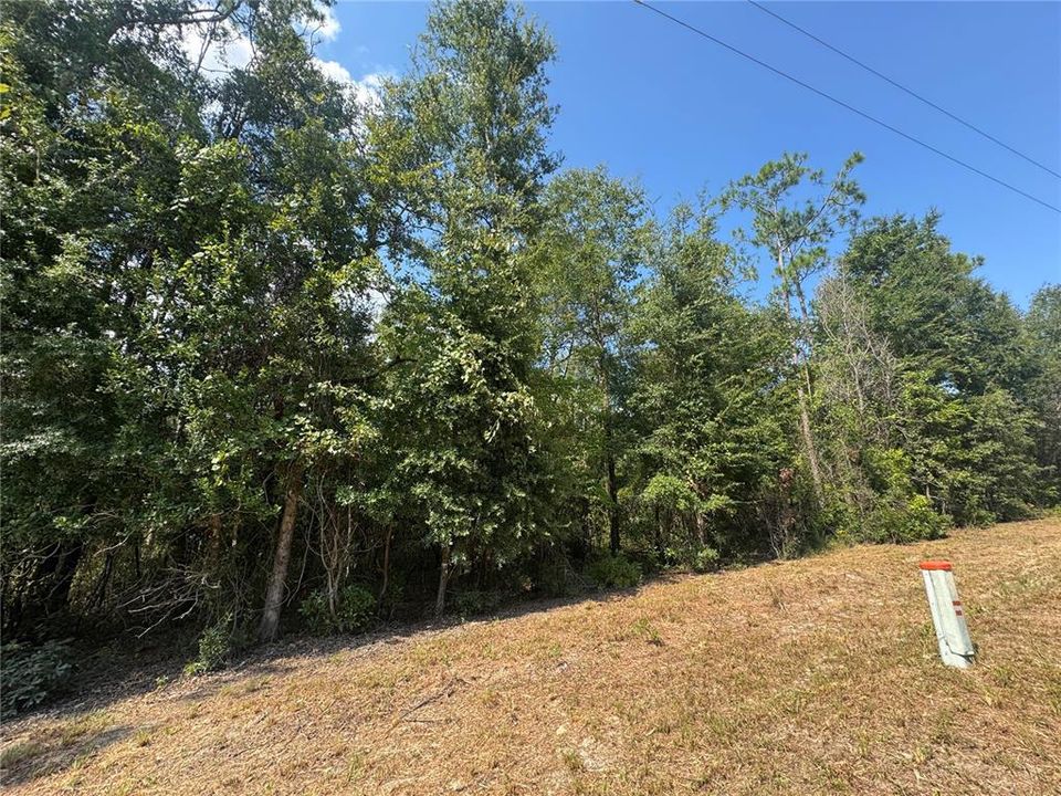 待售: $40,000 (0.92 acres)