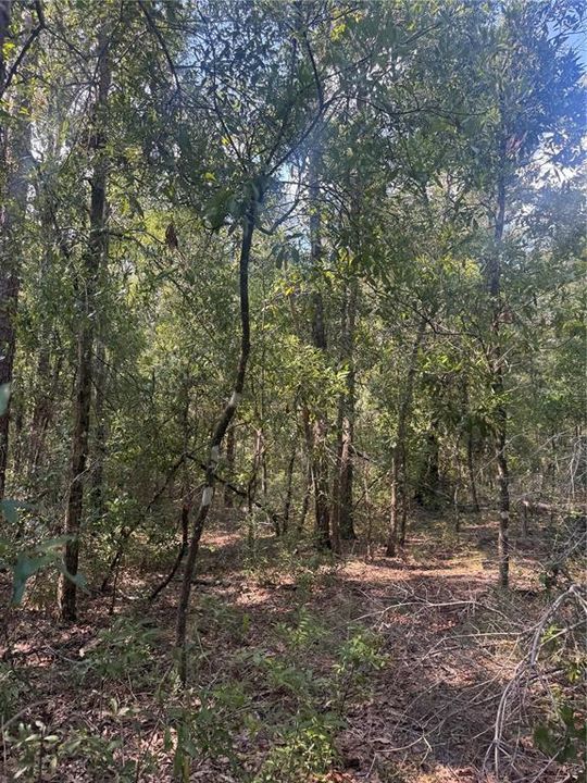 待售: $40,000 (0.92 acres)