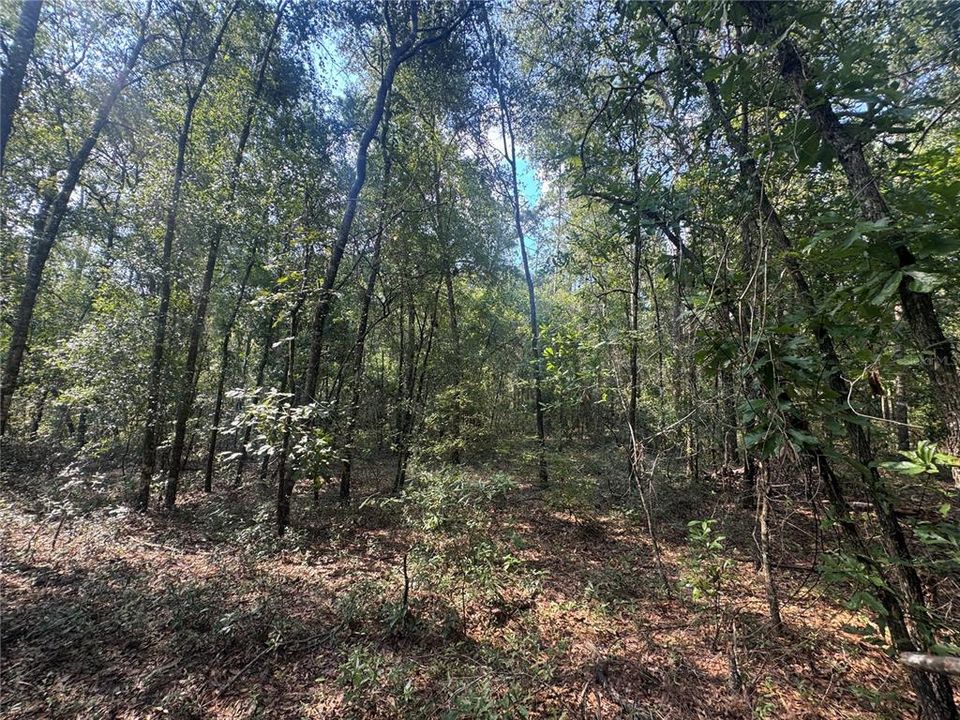 待售: $40,000 (0.92 acres)