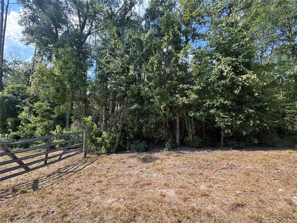 待售: $40,000 (0.92 acres)