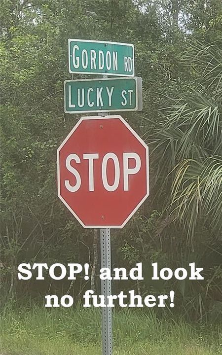 For Sale: $257,900 (4 beds, 2 baths, 1476 Square Feet)