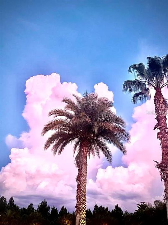 En Venta: $233,000 (1 camas, 1 baños, 364 Pies cuadrados)