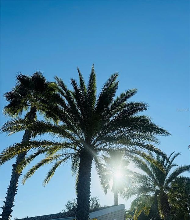 En Venta: $233,000 (1 camas, 1 baños, 364 Pies cuadrados)