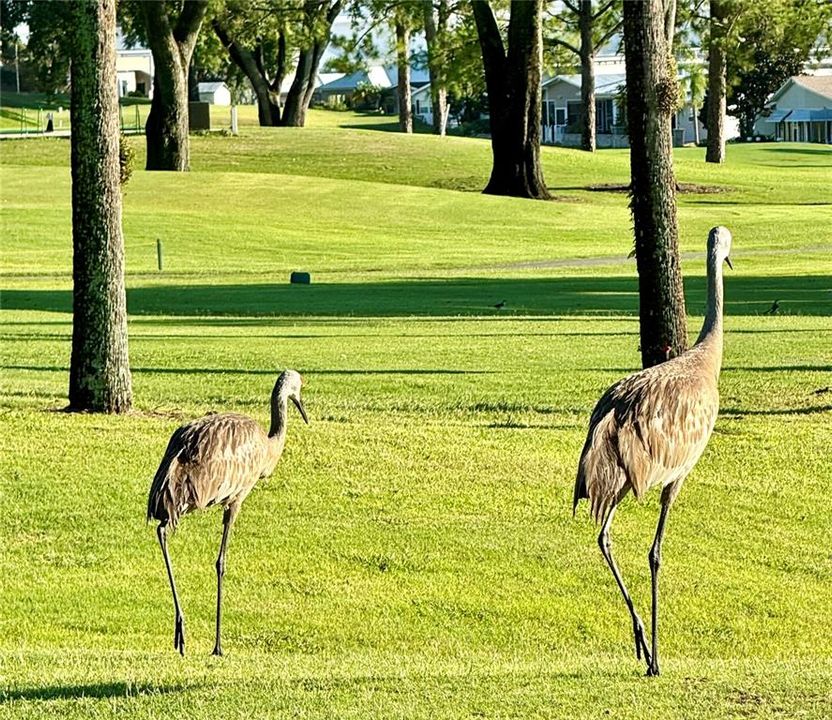 En Venta: $233,000 (1 camas, 1 baños, 364 Pies cuadrados)