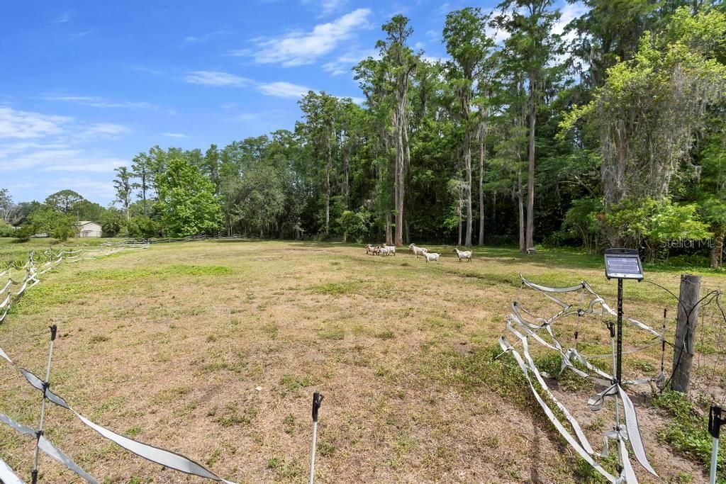 Active With Contract: $609,000 (4 beds, 2 baths, 1985 Square Feet)