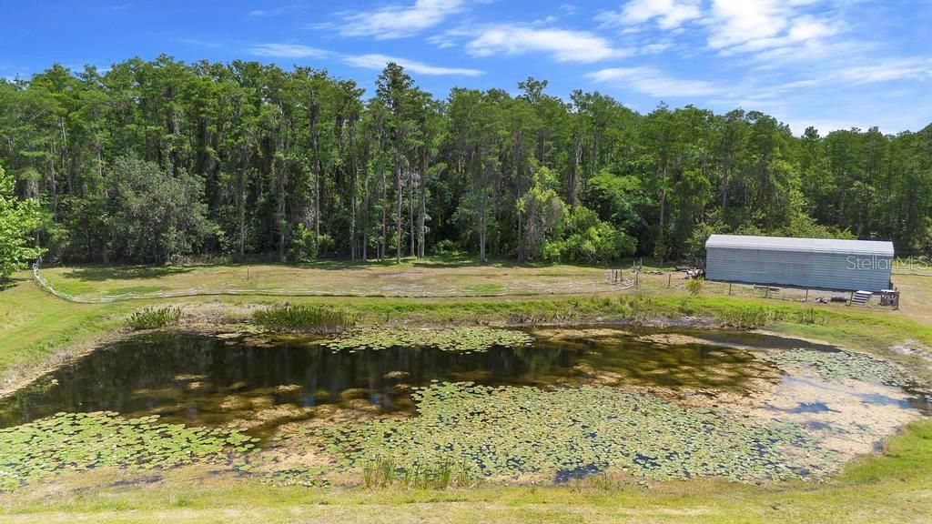 Active With Contract: $609,000 (4 beds, 2 baths, 1985 Square Feet)