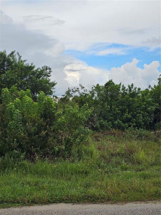 Active With Contract: $35,000 (0.23 acres)