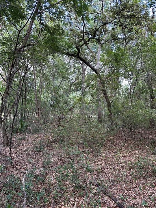 На продажу: $16,500 (0.50 acres)