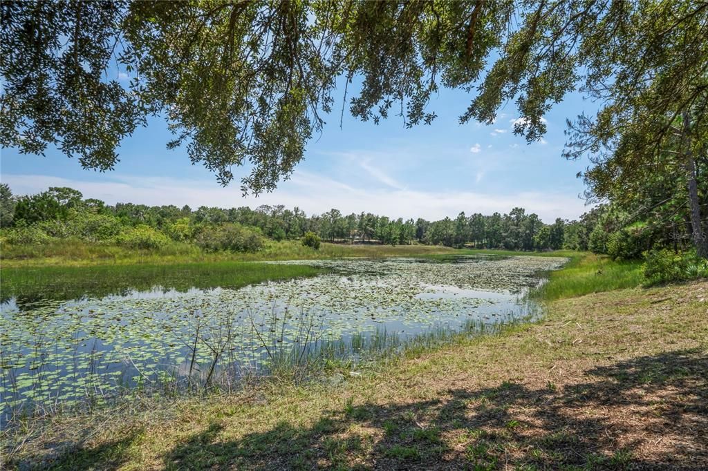 待售: $420,000 (3 贝兹, 2 浴室, 2226 平方英尺)