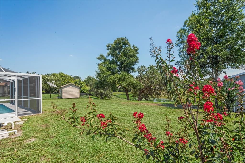 待售: $420,000 (3 贝兹, 2 浴室, 2226 平方英尺)