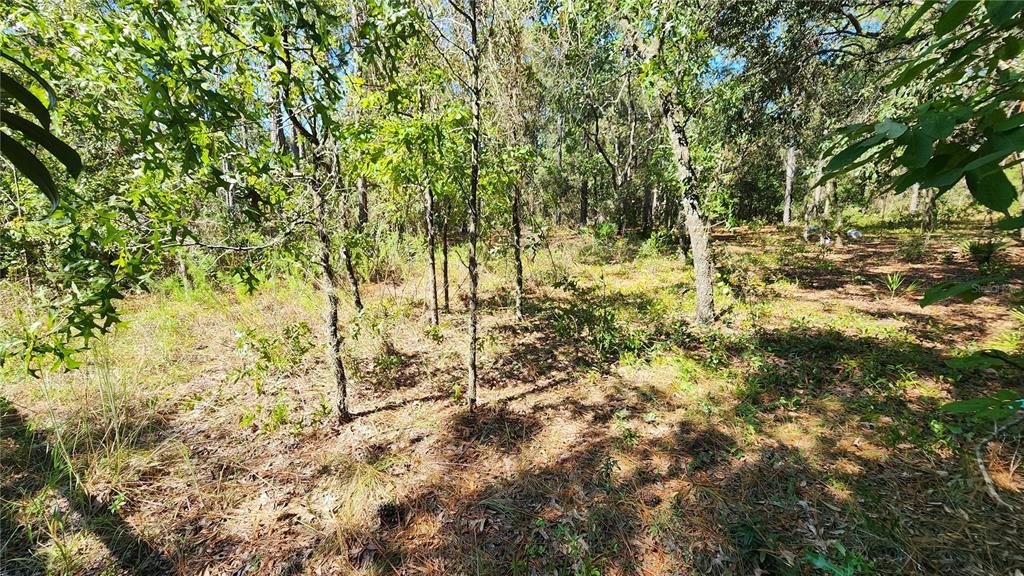 Под контрактом: $25,000 (0.23 acres)