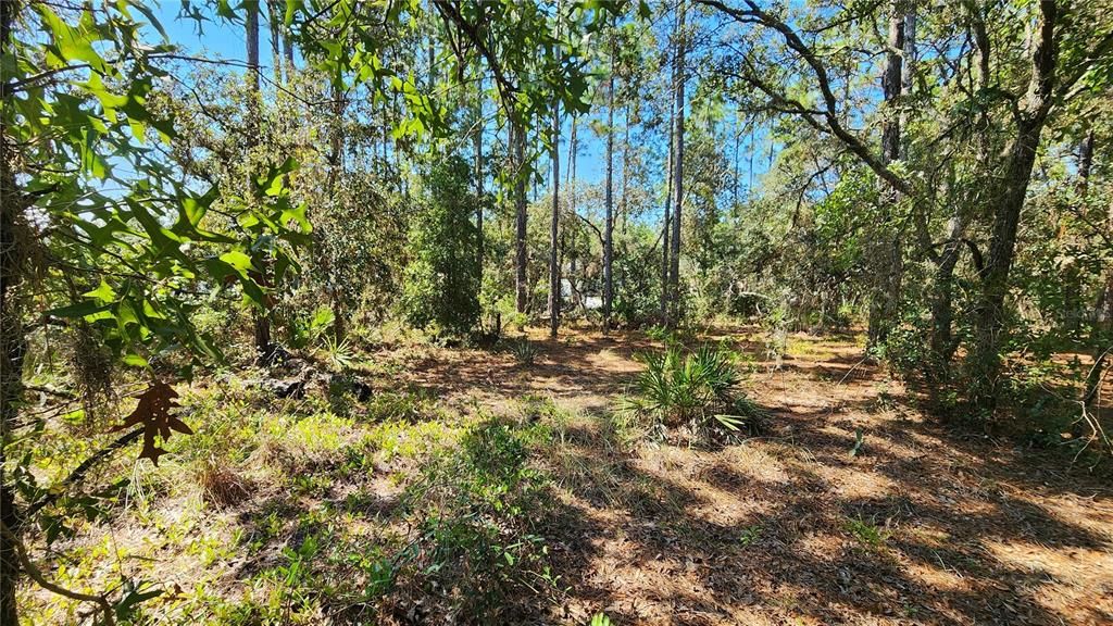 Под контрактом: $25,000 (0.23 acres)