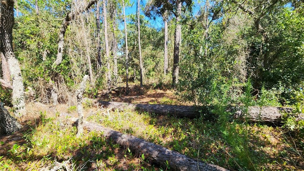 Под контрактом: $25,000 (0.23 acres)