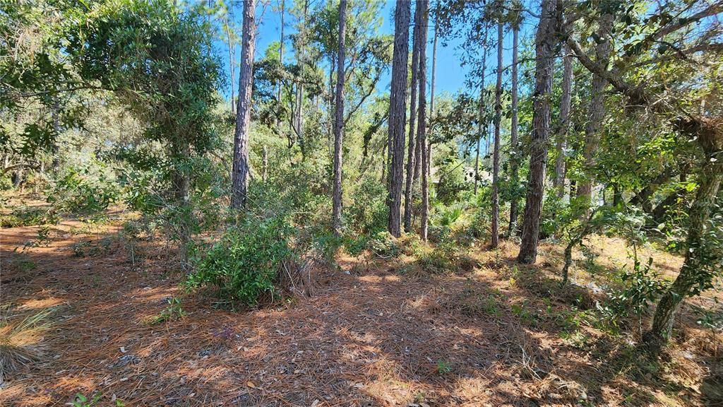 Под контрактом: $25,000 (0.23 acres)