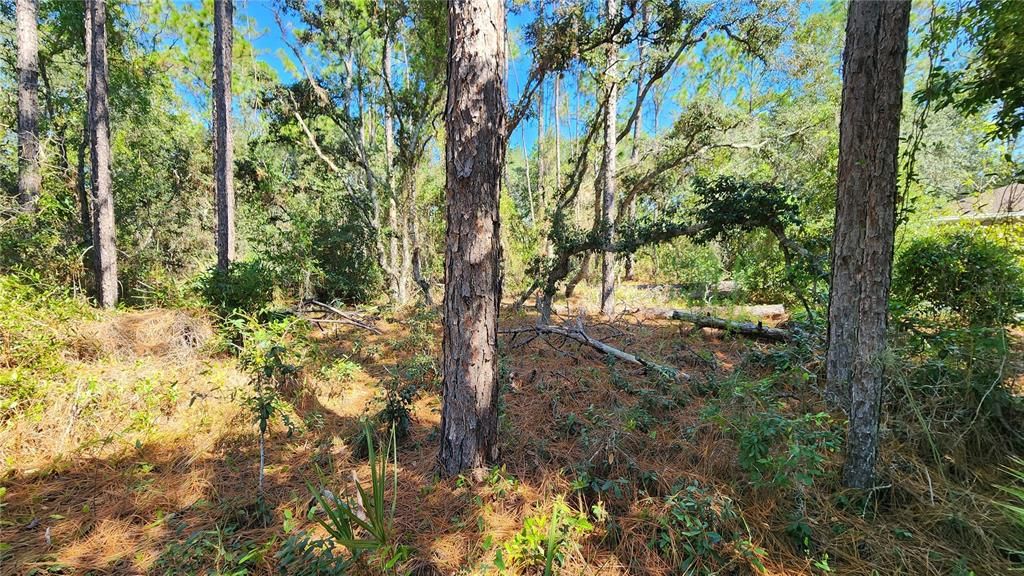 Под контрактом: $25,000 (0.23 acres)