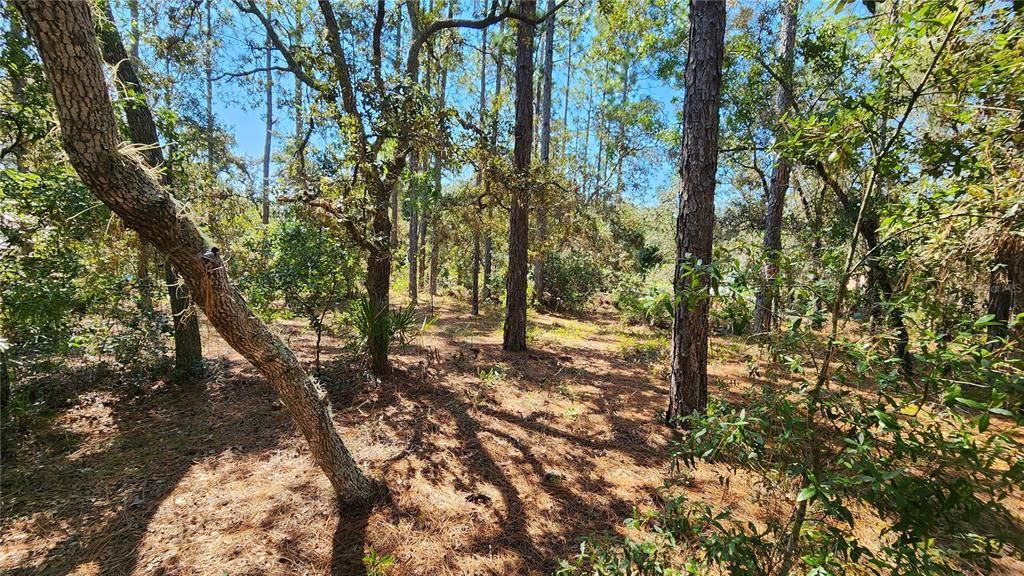 Под контрактом: $25,000 (0.23 acres)