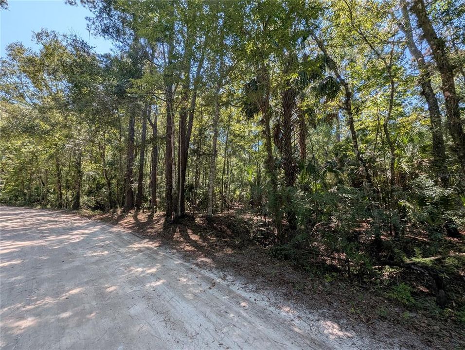 For Sale: $22,500 (1.34 acres)