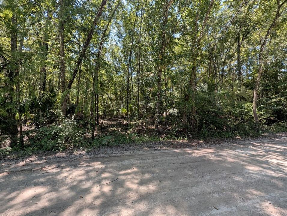 For Sale: $22,500 (1.34 acres)