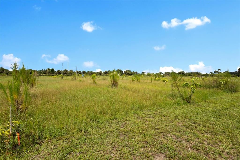 На продажу: $559,999 (10.00 acres)