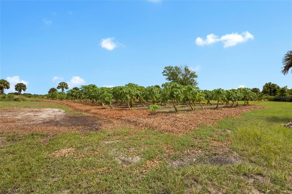 На продажу: $559,999 (10.00 acres)