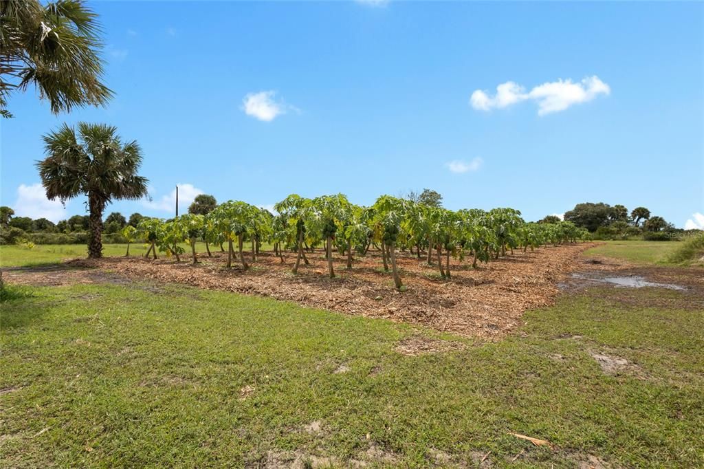 На продажу: $559,999 (10.00 acres)