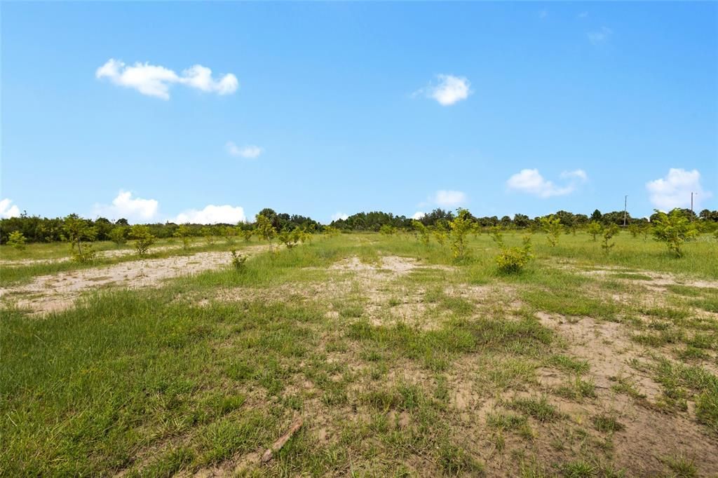 На продажу: $559,999 (10.00 acres)