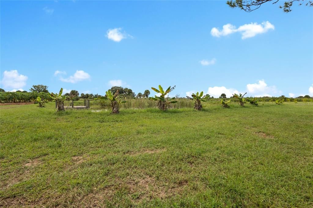 На продажу: $559,999 (10.00 acres)