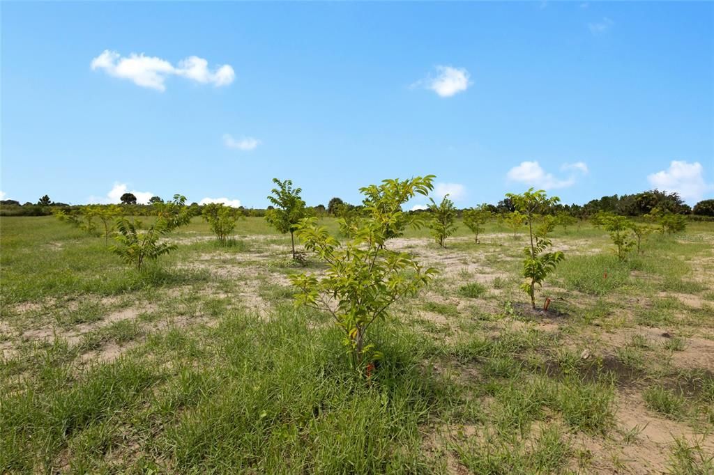 На продажу: $559,999 (10.00 acres)