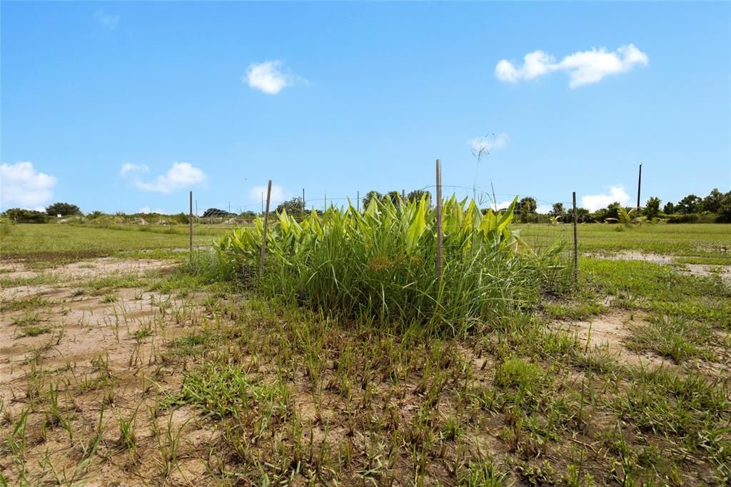 На продажу: $559,999 (10.00 acres)