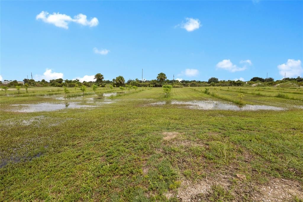 На продажу: $559,999 (10.00 acres)