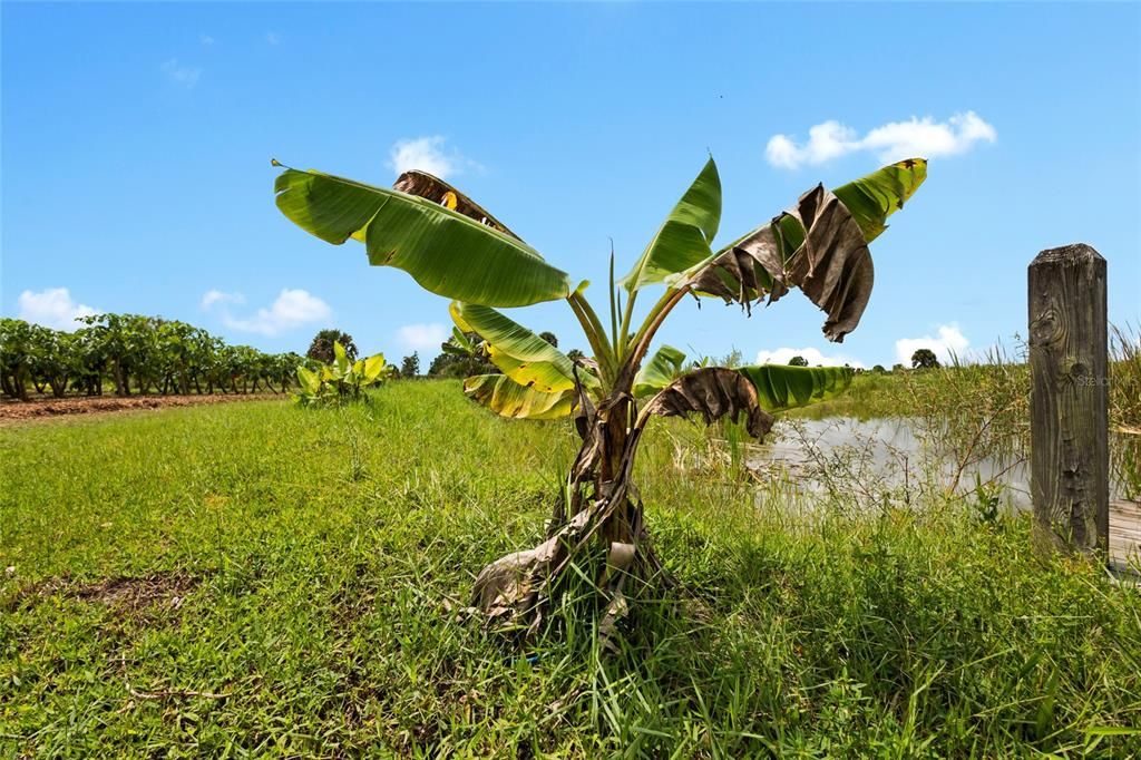 На продажу: $559,999 (10.00 acres)